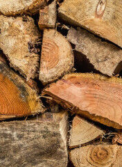tagAlt.Beech wood Upstream Smoking 8