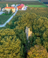 tagAlt.Bellussera winery Piave general 6