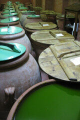 tagAlt.Capezzana extra virgin olive oil 6