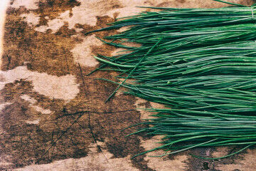 tagAlt.Chives green board 8