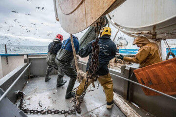 tagAlt.Fishing team on boat catch 8