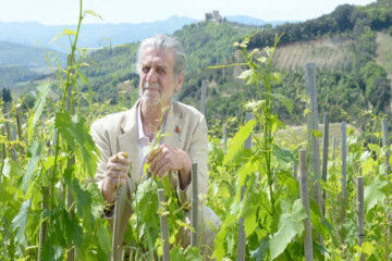 tagAlt.Francesco Illy Podere Le Ripi