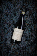 tagAlt.Monti Olmi dried grapes 5