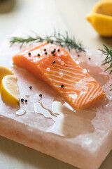 tagAlt.Salmon fillet on salt table 5