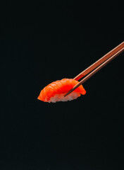 tagAlt.Salmon sushi dark border 7