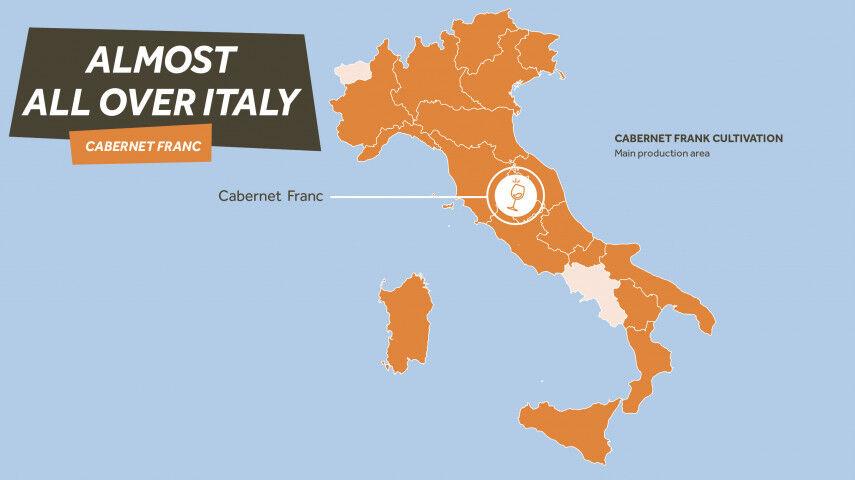 cabernet_franc_mappa_20220516