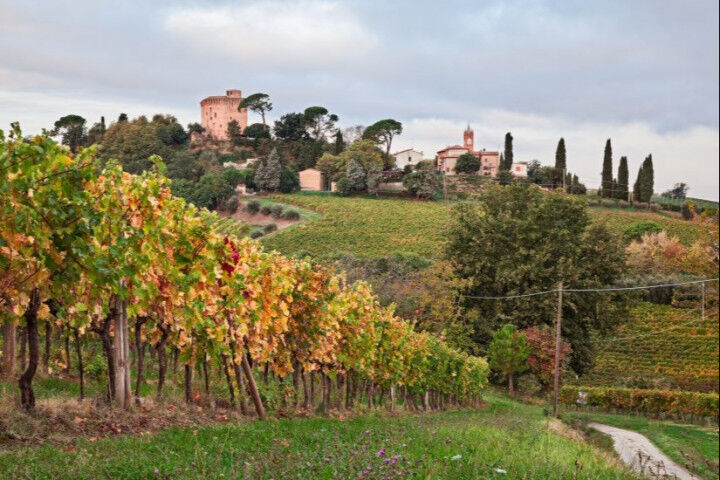 Romagna_Vigneti_Castello_Faenza_20220427