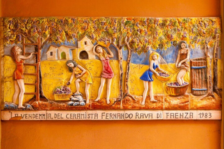 vendemmia_20220427