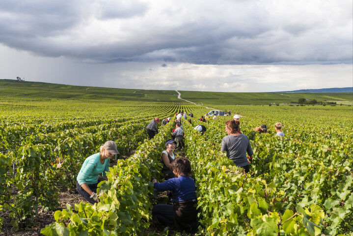 women_winemalers_20220427