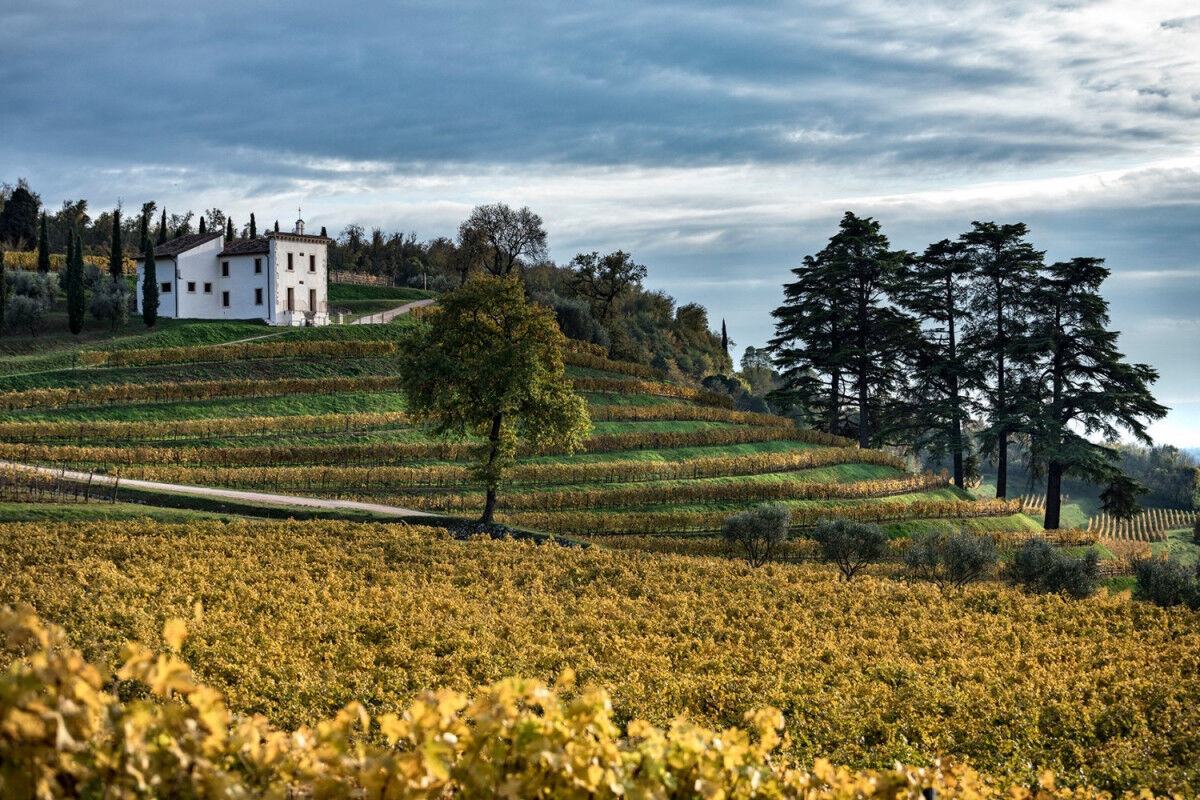 tagAlt.Bertani Novare Wine Estate Cover