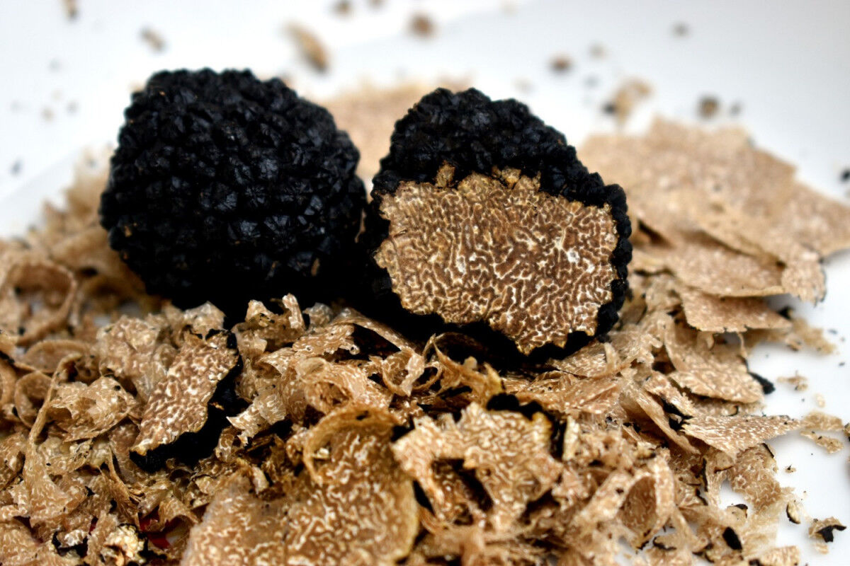 tagAlt.Black Truffle Shavings Cover