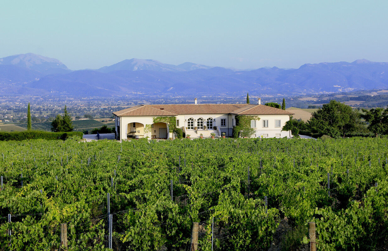 tagAlt.Lungarotti Winery Torgiano