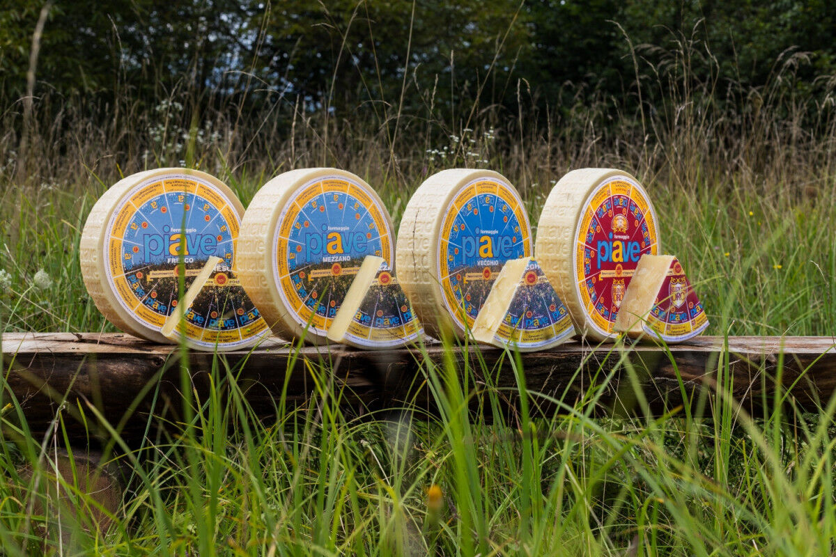 tagAlt.Piave DOP cheeses line Cover