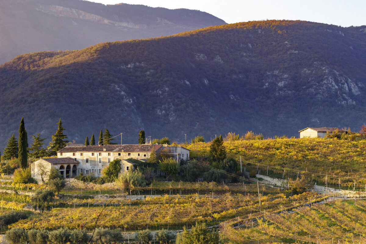 tagAlt.Valpolicella
