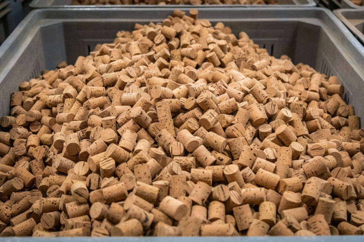 tagAlt.Wine corks history Cover 20210908
